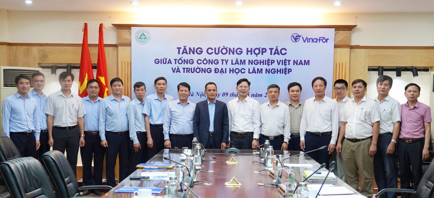 <strong>Tăng cường hợp tác hiệu quả thực tiễn giữa Trường Đại học Lâm nghiệp và Tổng Công ty Lâm nghiệp Việt Nam</strong>